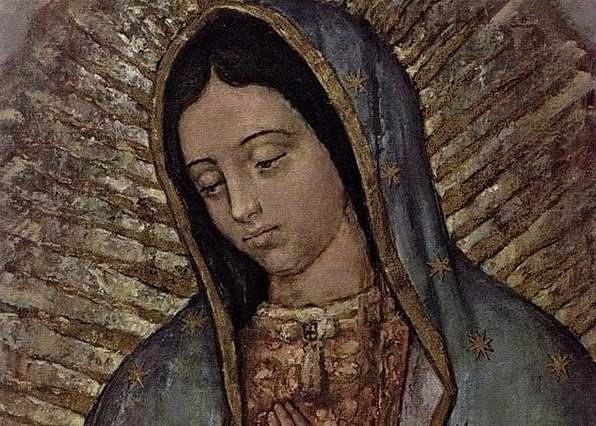 �����ɣ�������ͽ�������ǽ���!(������)